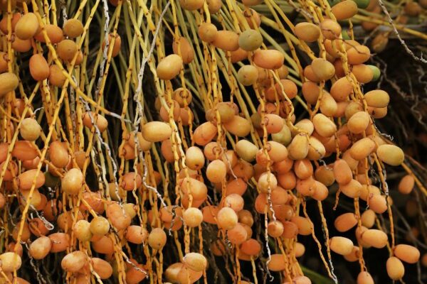 "בגידה במערכות יחסים: איך לזהות ולהתקדם"